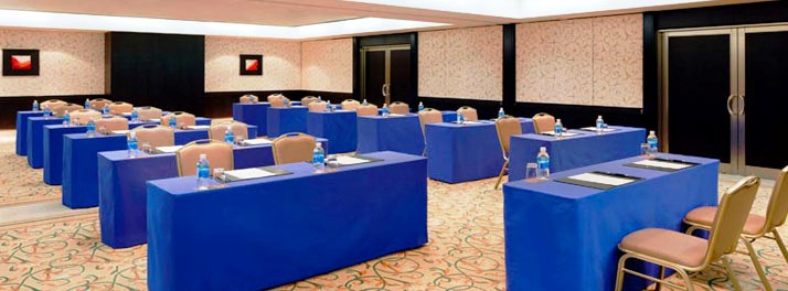 2304/Sheraton Grande Tokyo - Chiba 07.jpg